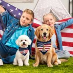 Personalized 250th Anniversary Cartoon Dog Soft Pet Bandana with Name and Adjustable Buckle Pet Party Independence Day Gift for Pet Owners Lovers