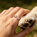 Henkilökohtainen Infinity Symbol Paw Print Sterling Silver Ring teksti ja sydän Birthstone Pet Loss Sympathy Memorial lahja lemmikkieläinten omistaja rakastaja