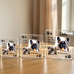 Placa acrílica cuadrada personalizada con 2 fotos en collage y nombre Decoración para el hogar Regalo conmemorativo para la madre del dueño de la mascota