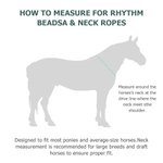 Personalised Multicolour Text PU Leather Horse Neck Strap Horseback Riding Use Training Birthday Gift for Equestrian Horse Owner Horse Rider