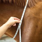 Personalised Multicolour Text PU Leather Horse Neck Strap Horseback Riding Use Training Birthday Gift for Equestrian Horse Owner Horse Rider