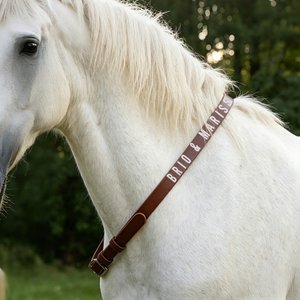 Personalised Multicolour Text PU Leather Horse Neck Strap Horseback Riding Use Training Birthday Gift for Equestrian Horse Owner Horse Rider