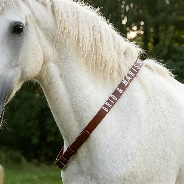 Personalized Multicolor Text PU Leather Horse Neck Strap Horseback Riding Use Training Birthday Gift for Equestrian Horse Owner Horse Rider