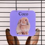 Personalisierte niedliche Haustier Foto Meerschweinchen Käfig Tag mit Pet Name täglichen Gebrauch Geburtstagsgeschenk für Tierliebhaber
