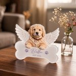Plaque commémorative en acrylique transparent avec nom et année Cadeau commémoratif pour les propriétaires d'animaux de compagnie