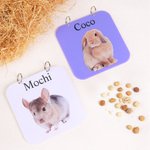 Personalisierte niedliche Haustier Foto Meerschweinchen Käfig Tag mit Pet Name täglichen Gebrauch Geburtstagsgeschenk für Tierliebhaber