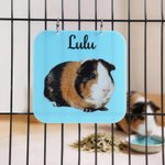 Personalisierte niedliche Haustier Foto Meerschweinchen Käfig Tag mit Pet Name täglichen Gebrauch Geburtstagsgeschenk für Tierliebhaber