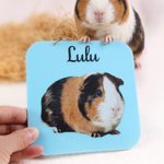 Personalisierte niedliche Haustier Foto Meerschweinchen Käfig Tag mit Pet Name täglichen Gebrauch Geburtstagsgeschenk für Tierliebhaber
