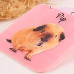 Personalisierte niedliche Haustier Foto Meerschweinchen Käfig Tag mit Pet Name täglichen Gebrauch Geburtstagsgeschenk für Tierliebhaber