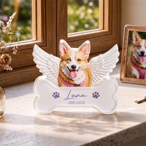 Plaque commémorative en acrylique transparent avec nom et année Cadeau commémoratif pour les propriétaires d'animaux de compagnie
