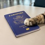 Personalised US Passport Inspired Pet Passport Photo Album with Pet Photo and Name Travel Keepsake Birthday Adoption Gift for Pet Owners
