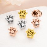 Personalised 3D Bubble Paw Print Brooch Pin with Engraved Pet Name Decorative Accessories Birthday Memorable Gift for Pet Dog Cat Lover