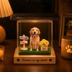 Personalized 3D Holographic Digital Pet House with Text Interactive Tech Memorial Anniversary Gift for Cat Dog Lover
