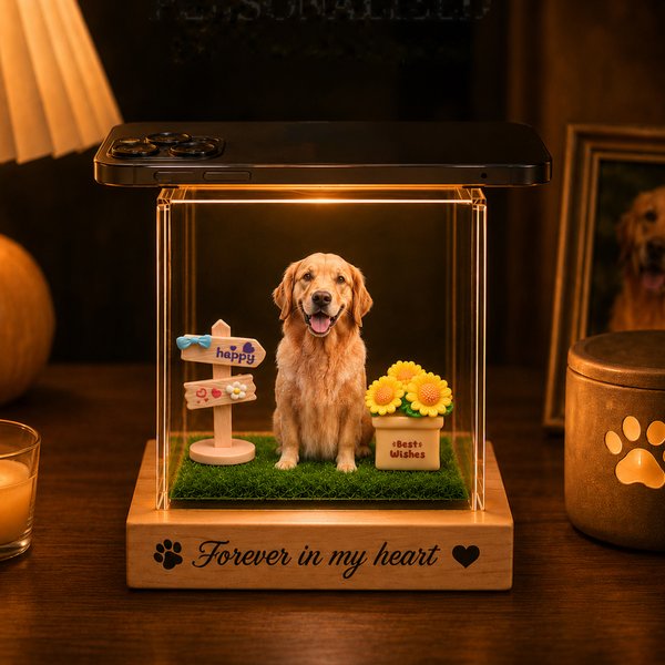 Personalized 3D Holographic Digital Pet House with Text Interactive Tech Memorial Anniversary Gift for Cat Dog Lover