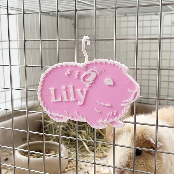 Etiquette personnalisée pour cochon d'Inde pour utilisation quotidienne Cage décorative Cadeau d'anniversaire pour propriétaires d'animaux de compagnie