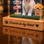 Personalized 3D Holographic Digital Pet House with Text Interactive Tech Memorial Anniversary Gift for Cat Dog Lover