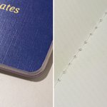 Personlig amerikansk passinspirert passfotoalbum for kjæledyr med kjæledyrfoto og navn Reiseoppbevaring Bursdagsadopsjonsgave til kjæledyrseiere