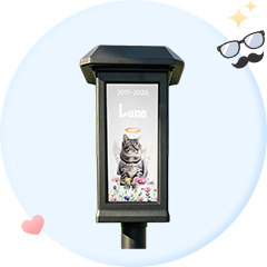 Memorial Gifts