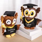 Gepersonaliseerde schattige uil-knuffel met afstudeerhoed en toga tekst en jaartal afstudeercadeau voor afgestudeerden klasgenoten
