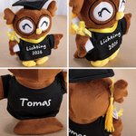 Gepersonaliseerde schattige uil-knuffel met afstudeerhoed en toga tekst en jaartal afstudeercadeau voor afgestudeerden klasgenoten