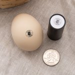 Personalized Hen Silhouette Safe Egg Stamp with Food Grade Ink Name Text and Year Birthday Gift for Family Farmer Breeder