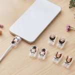 Protecteur de câble transparent avec nom pour chargeur iPhone Type-C Lot de 2 Cadeau d'anniversaire pour la famille et les amis