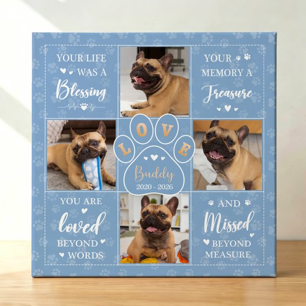 Personalized Dog Cat Paw Multicolor Photo Giclee Canvas Prints Home Decor Memorial Gift for Pet Lover Family