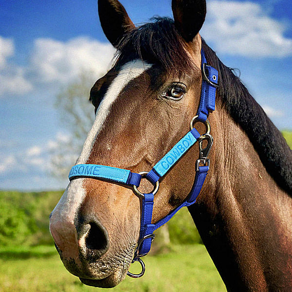 Personalized Embroidered Horse Halter CALLIE