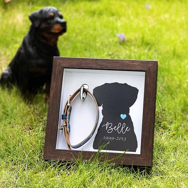 dog collar memorial