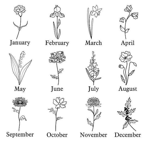 july birth flower drawing