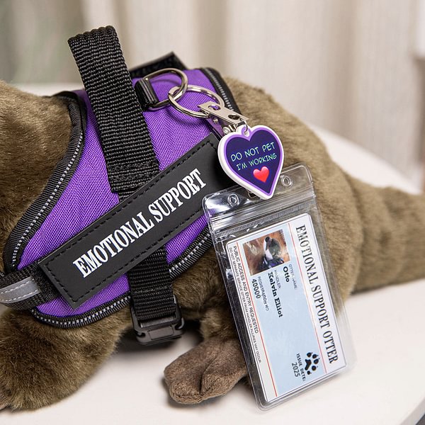 Image showcasing Personalized Emotional Support Soft Otter Stuffed Animal with Name ...